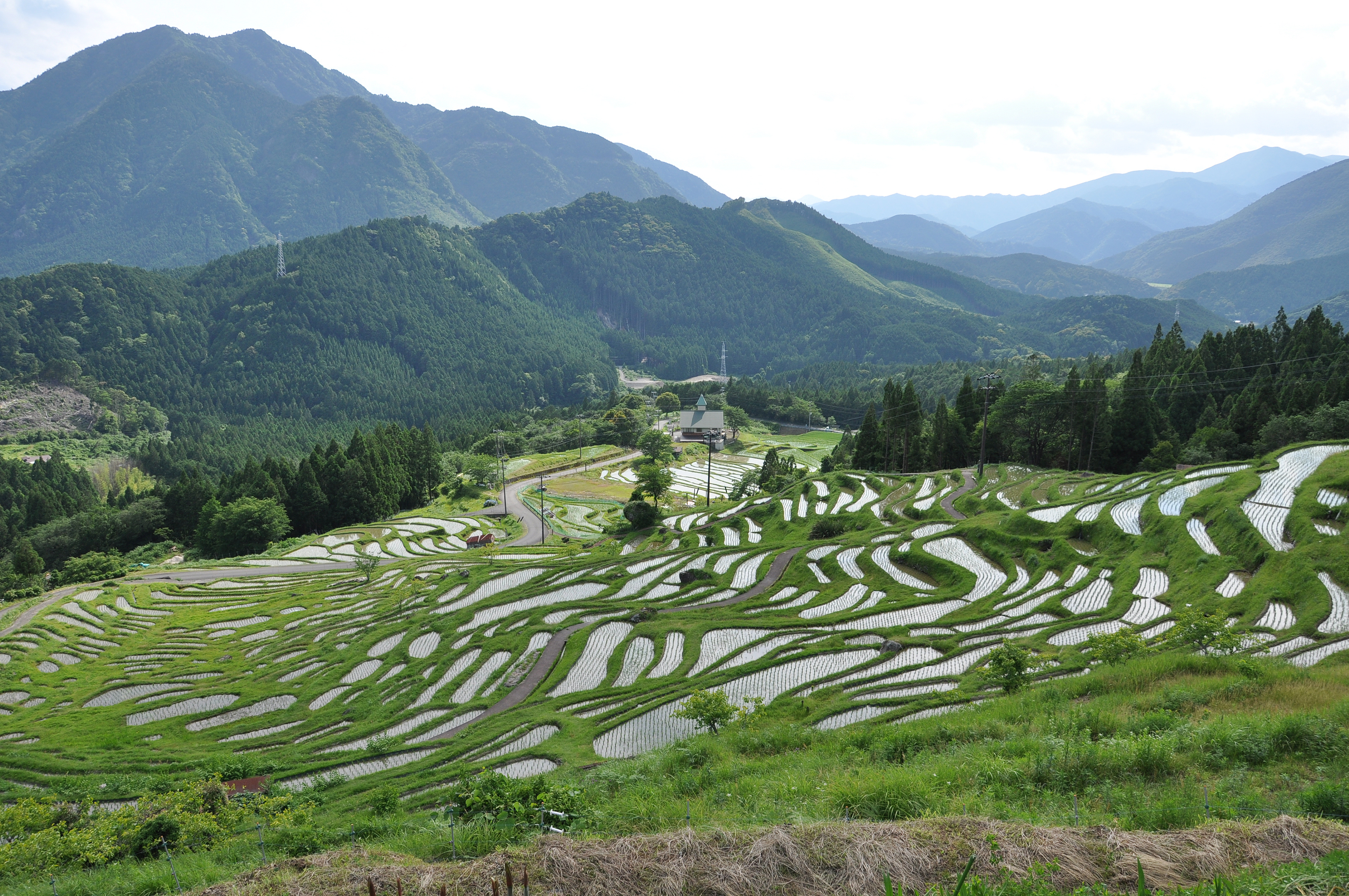 第一問：丸山千枚田