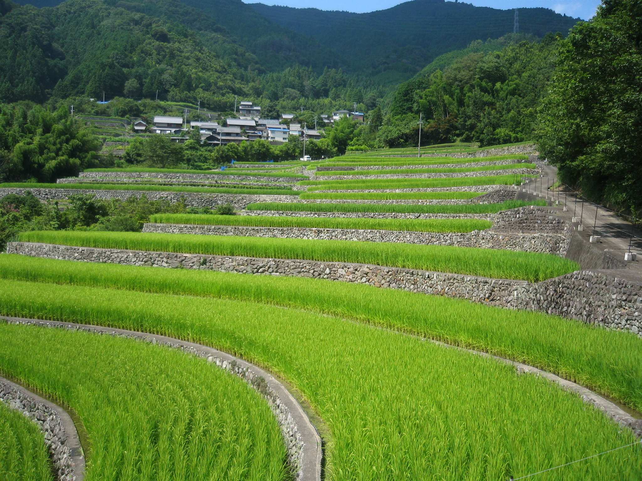 第二問：深野だんだん田