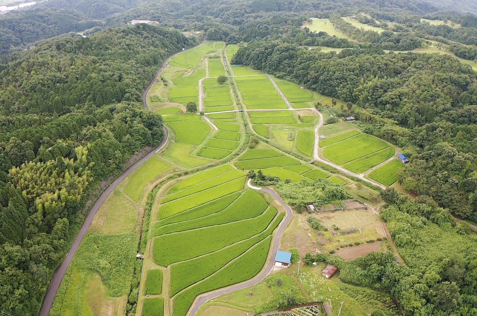 第三問：西山の棚田