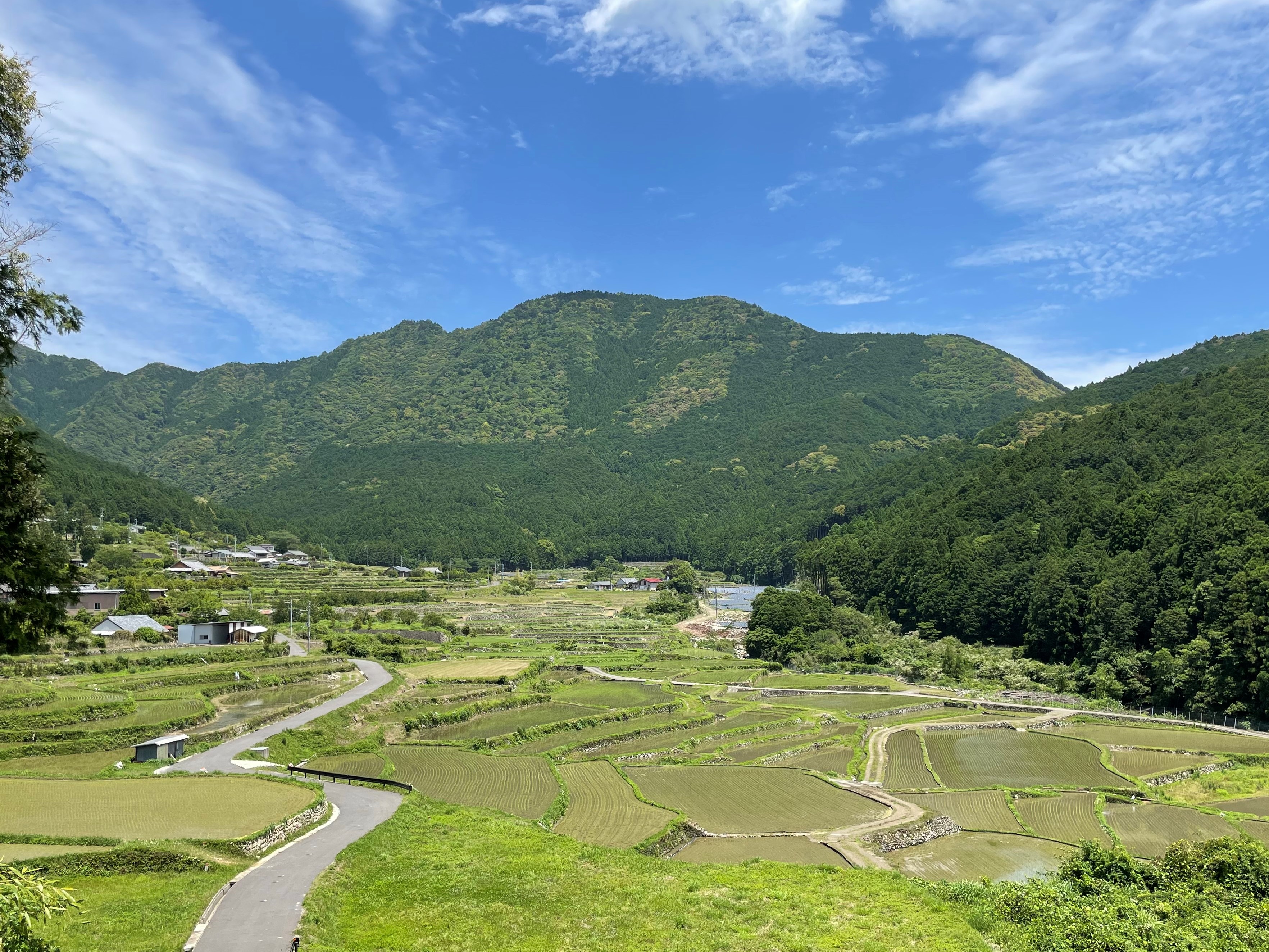 第四問：阪本の棚田